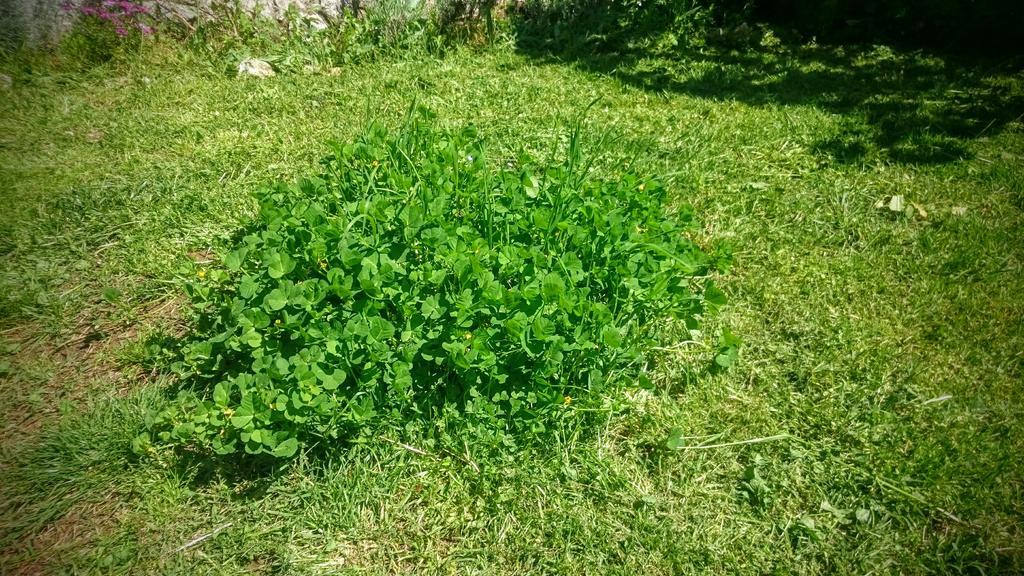 Stressfree Villa Ičići Esterno foto