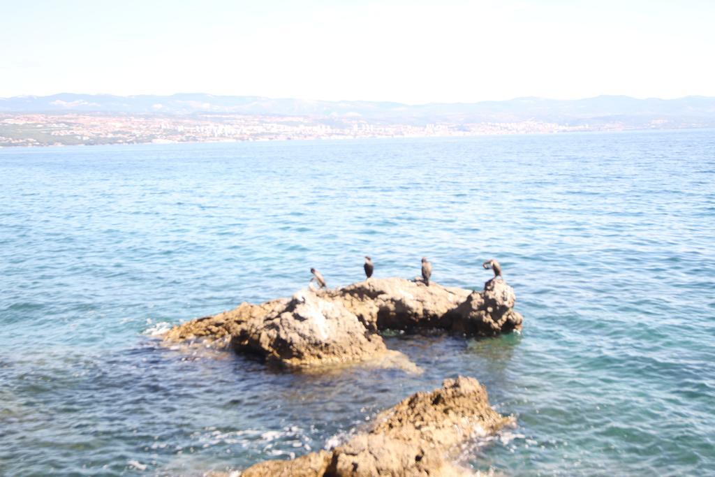 Stressfree Villa Ičići Esterno foto